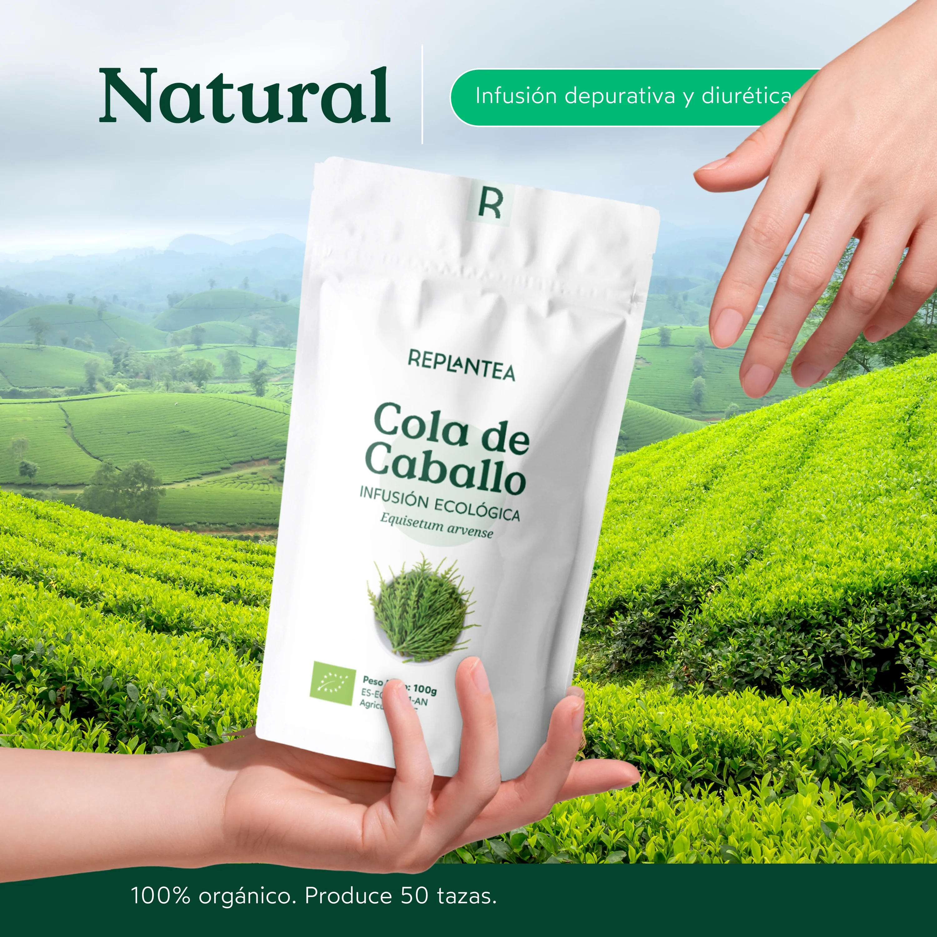 Imagen del producto 10
