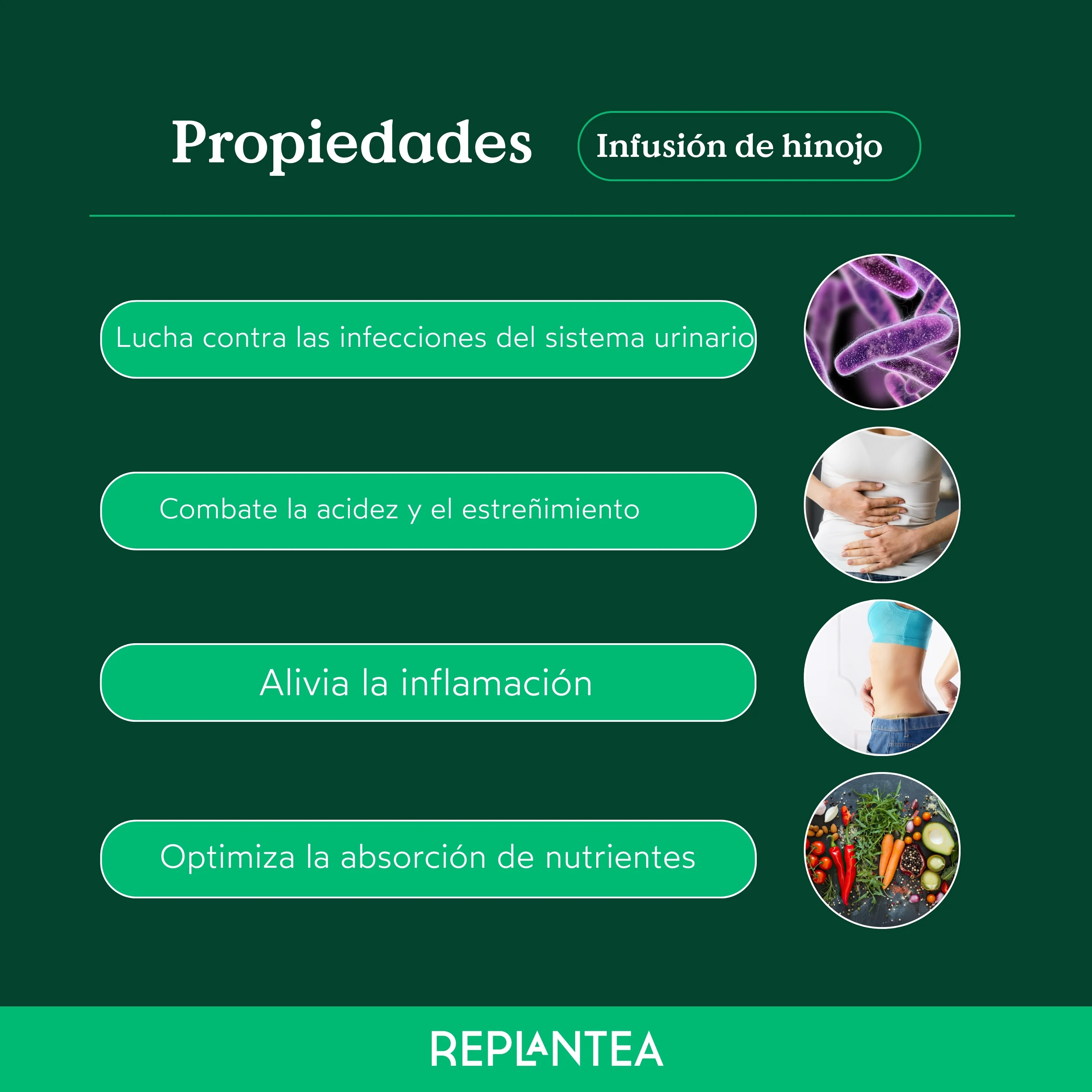 Imagen del producto 10