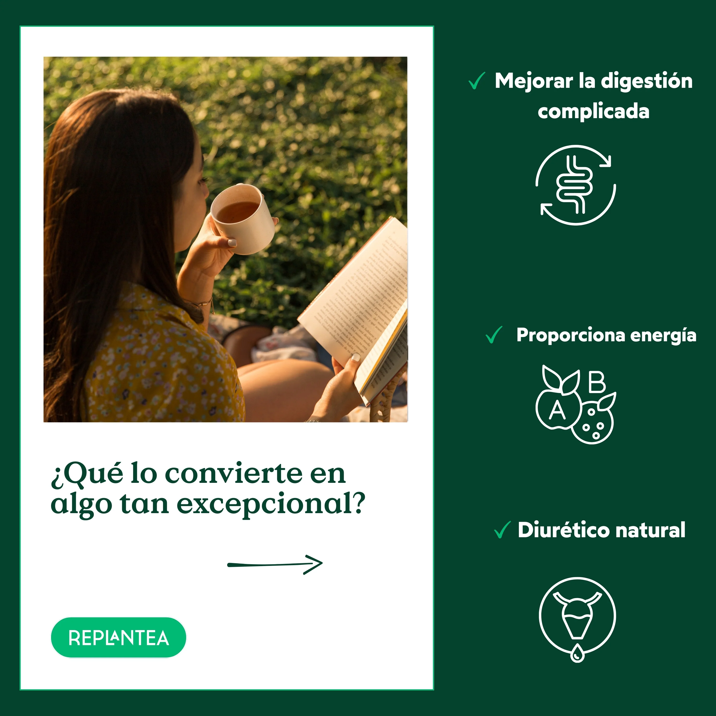 Imagen del producto 8